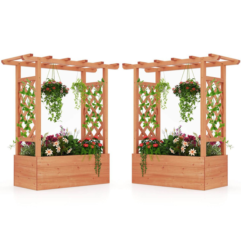 Wooden Raised Garden Bed with Trellis (1- or 2-Pack) product image