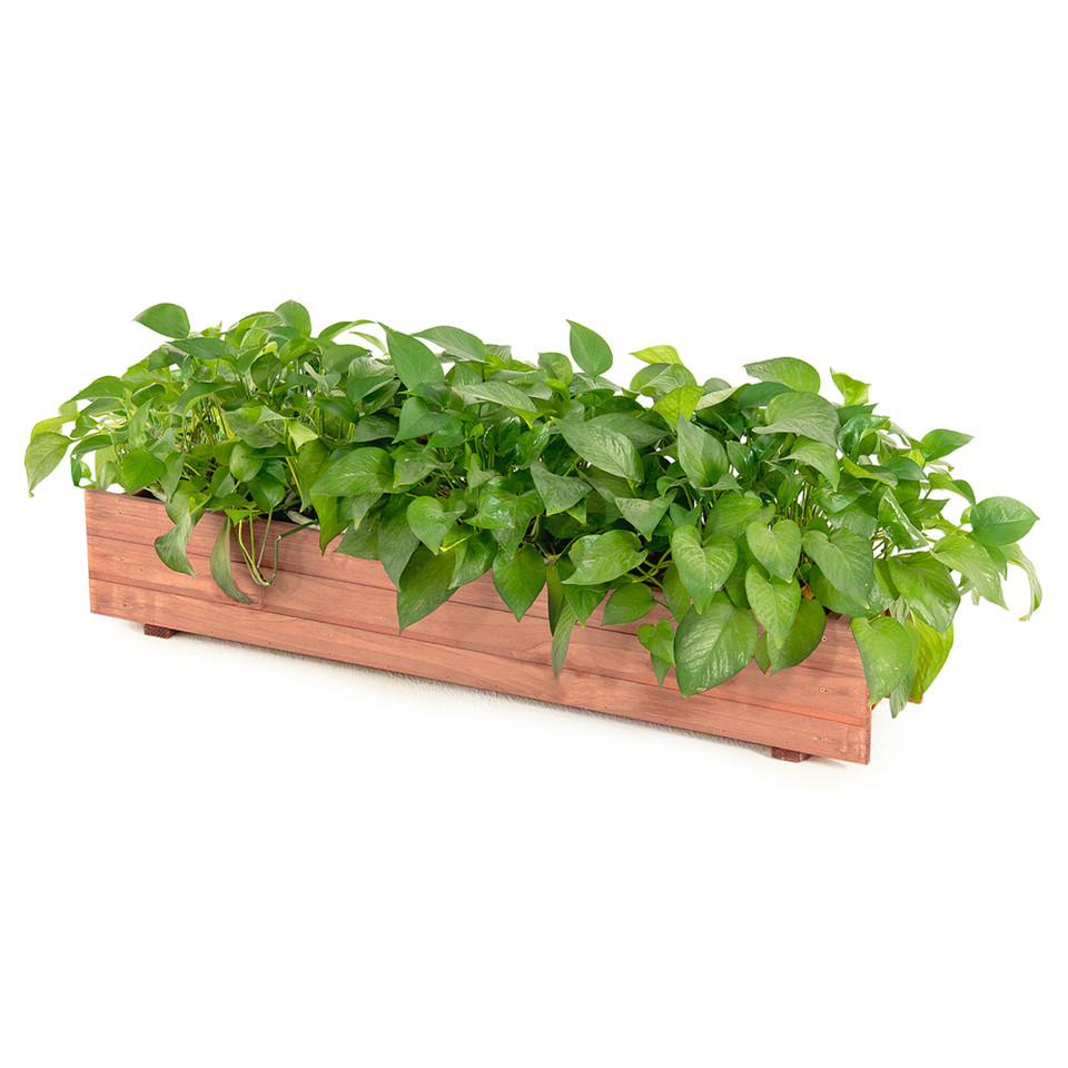 Wooden Flower Planter Window Box (1- or 2-Pack) product image