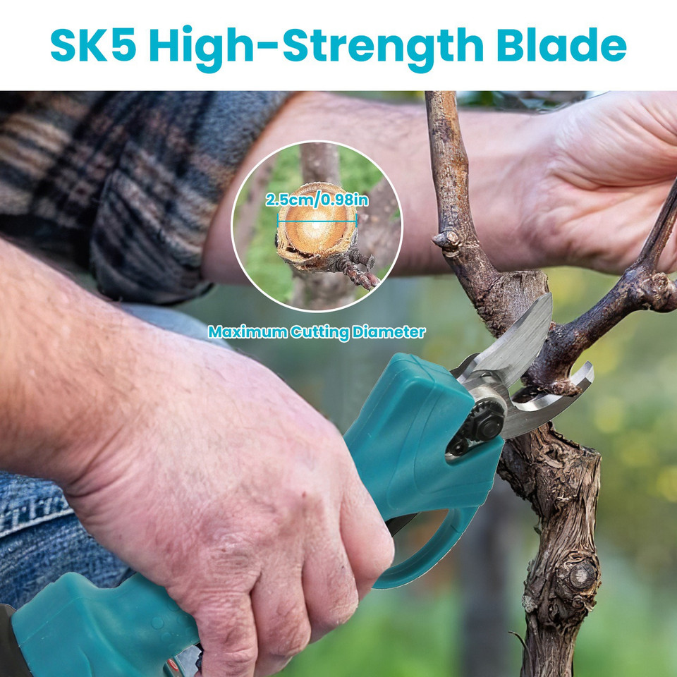 4-in-1 Extendable Pole Saw and Pruner Set product image