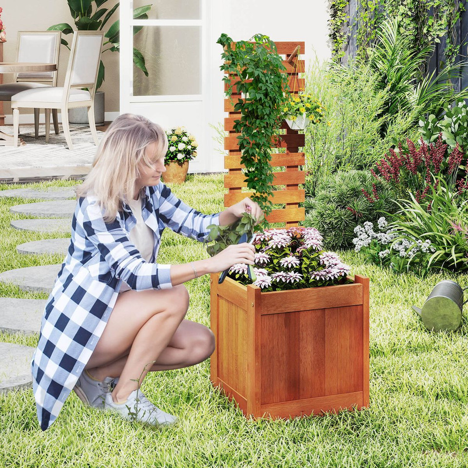 Wooden Raised Garden Bed with Open-Ended Base and Trellis product image