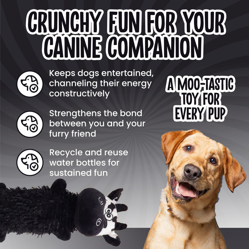 Scoochie Pet Squeaky/Crinkle Dog Chew Toys product image