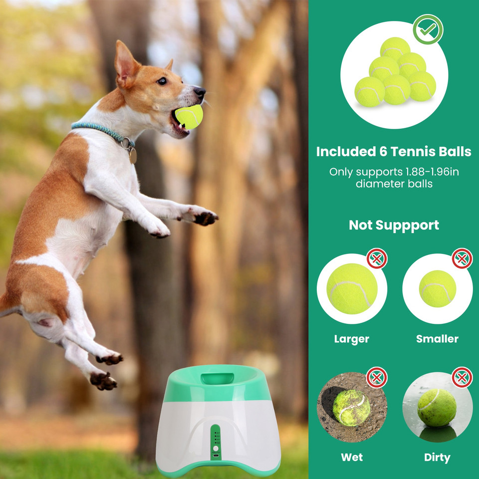 Automatic Dog Ball Launcher product image