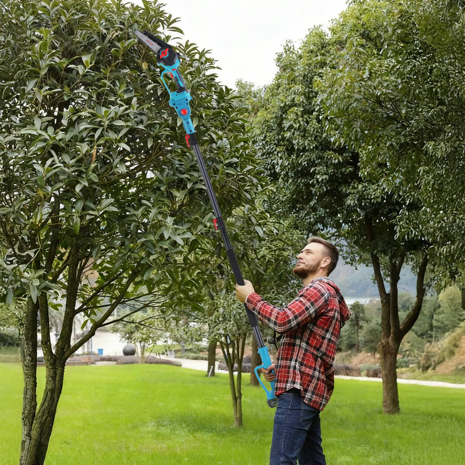 2-in-1 Pole Saw and Mini Chainsaw product image