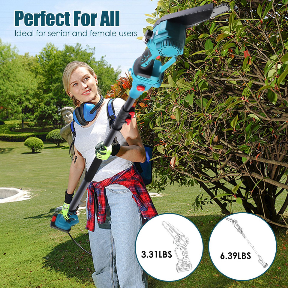 2-in-1 Pole Saw and Mini Chainsaw product image