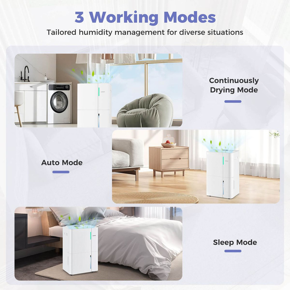 Dehumidifier with Intelligent Touch Panel  product image