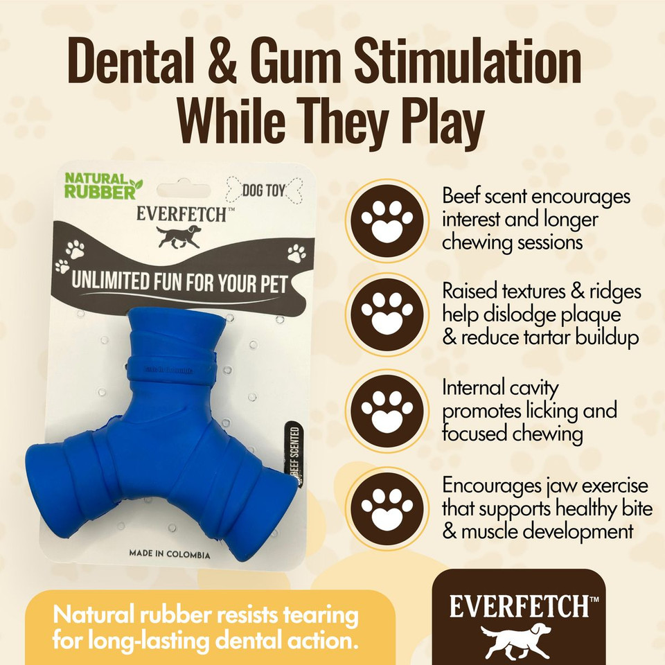 Everfetch Natural Rubber Scented Funky Dog Toys product image