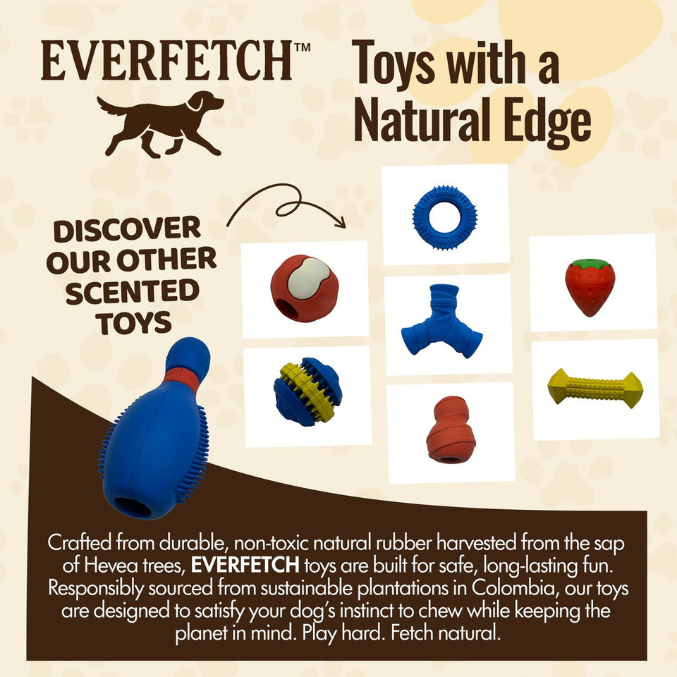 Everfetch Natural Rubber Scented Funky Dog Toys product image