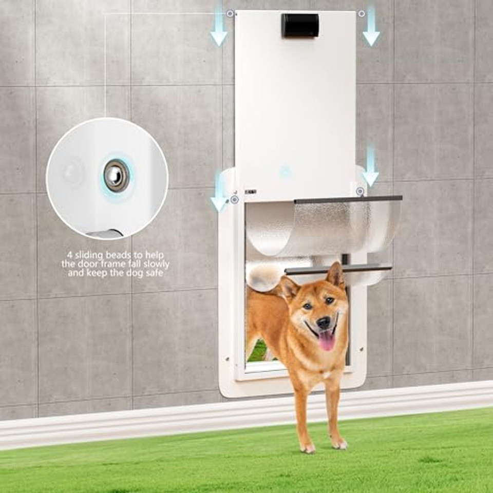 Autofeedog Double-Flap Pet Door Wall  product image