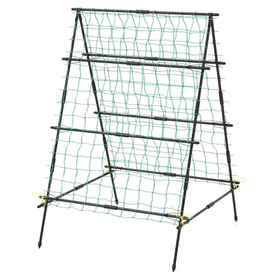 Cucumber Trellis  product image