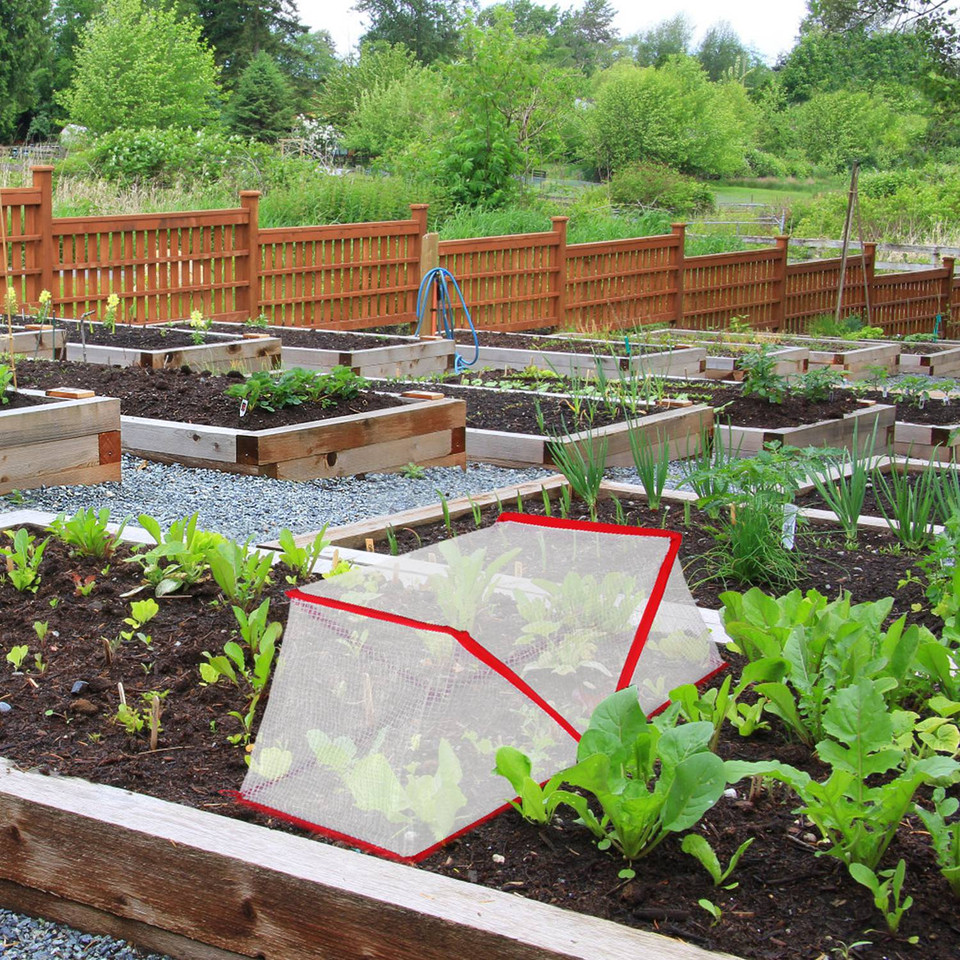 Garden Row Accelerator Plant Cover (4-Pack) product image