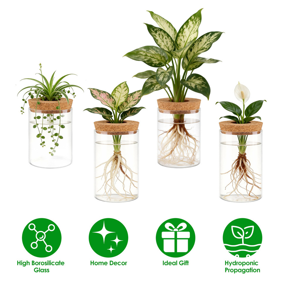 Hydroponic Glass Plant Propagation Station (4-Pack) product image