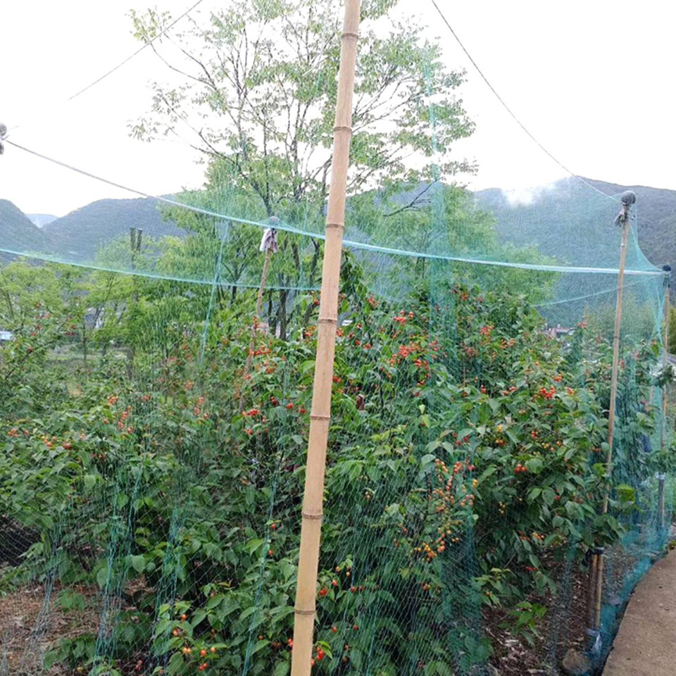 33-foot Garden Netting product image