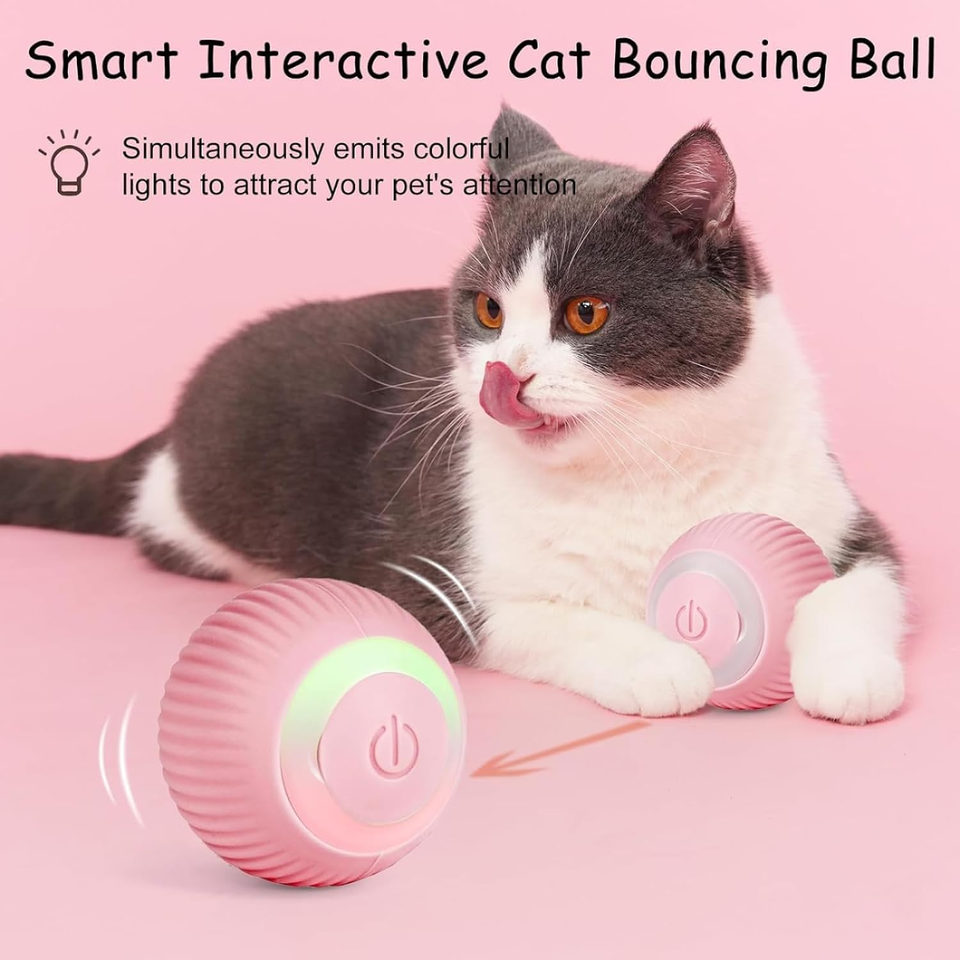 Rechargeable Rolling Ball for Indoor Cats product image