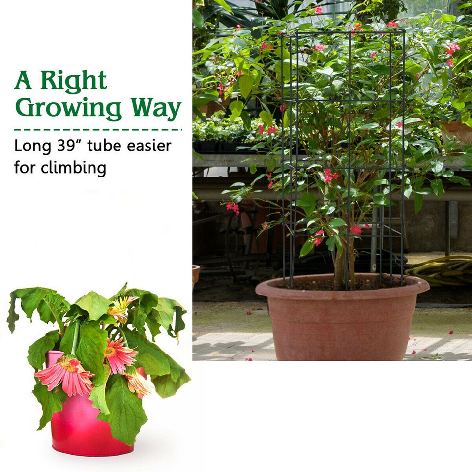 Tomato Cage / Plant Trellis (4-Pack) product image