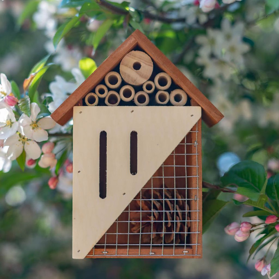 Bee & Butterfly Wooden Insect Home or Palace (1 or 2-Pack) product image