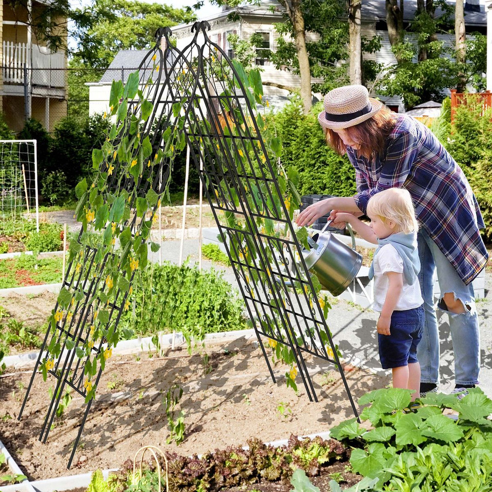 Metal Garden Trellis for Climbing Plants product image