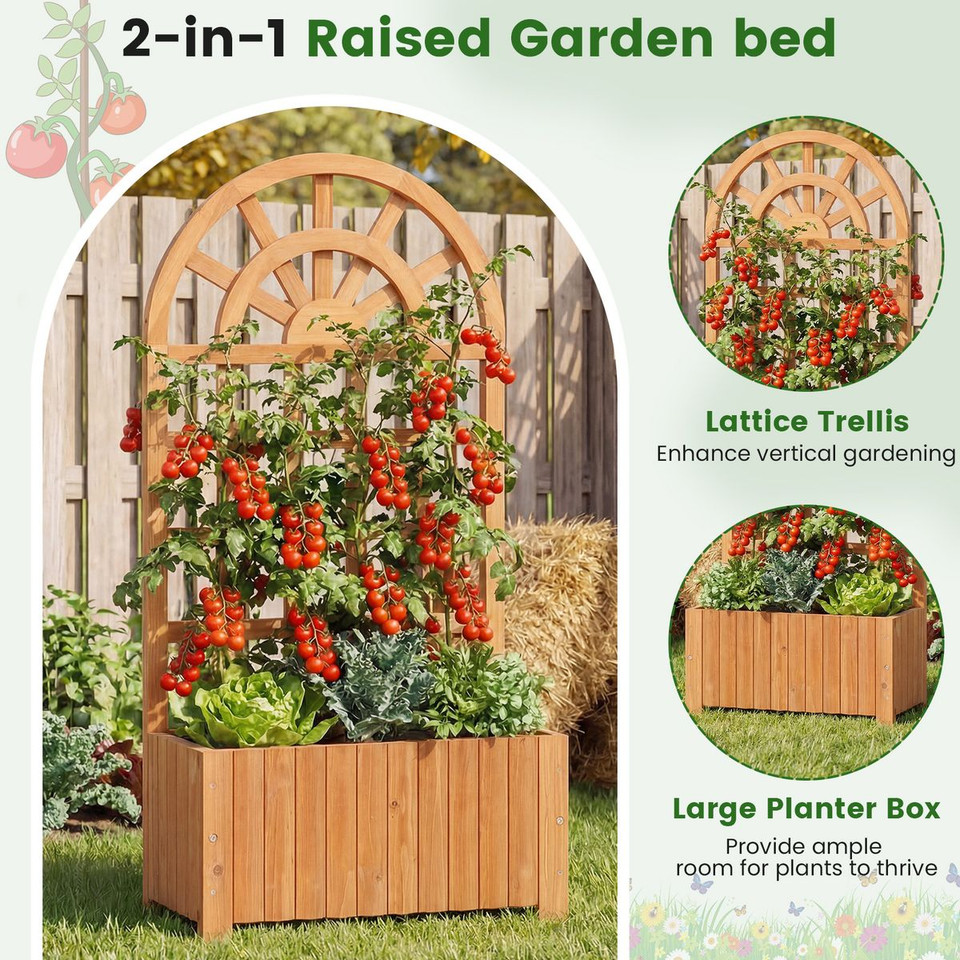Wooden Raised Garden Bed with Trellis (1 or 2-Pack) product image