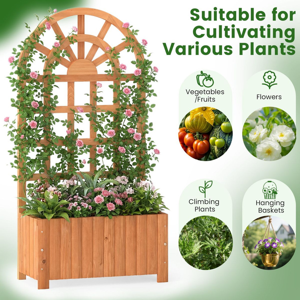 Wooden Raised Garden Bed with Trellis (1 or 2-Pack) product image