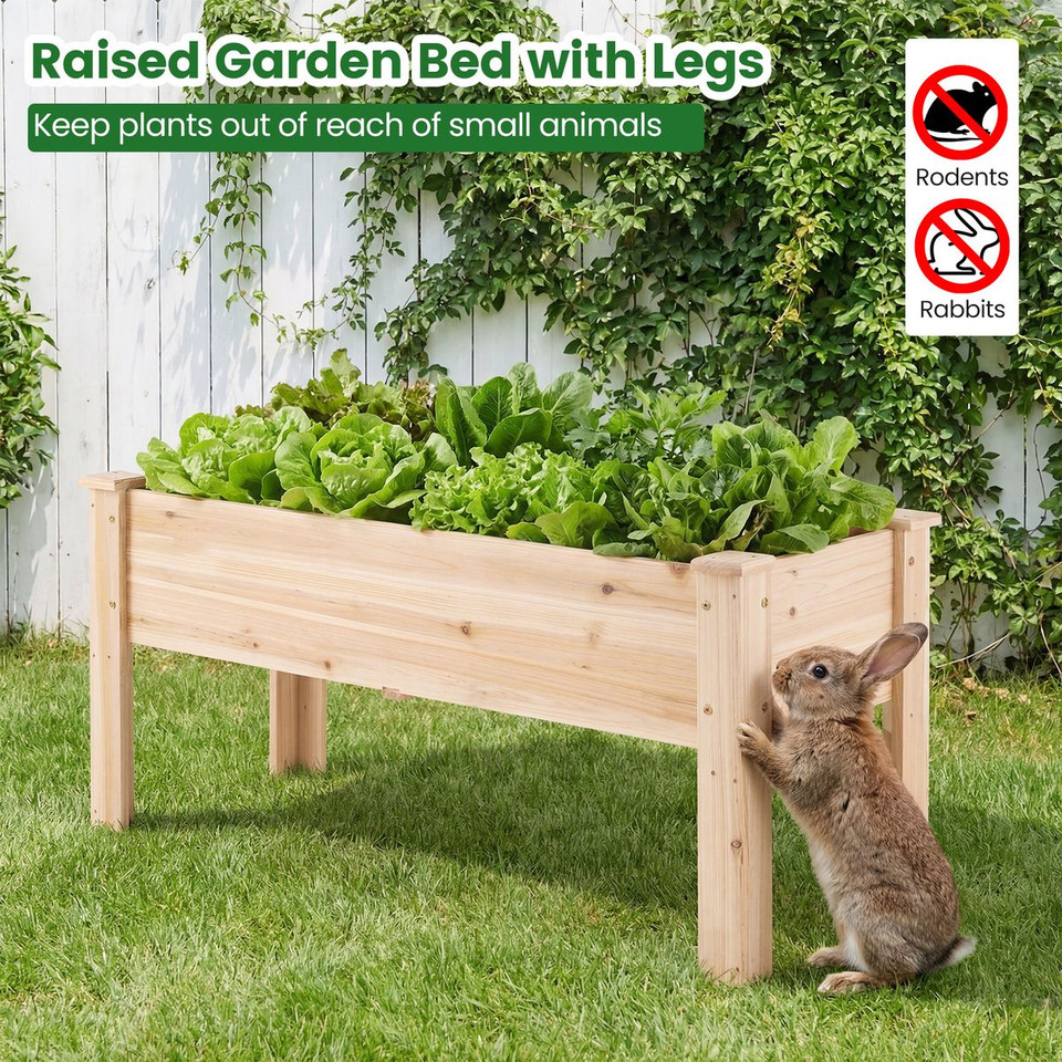 Wooden Raised Garden Bed (1- to 2-Pack) product image