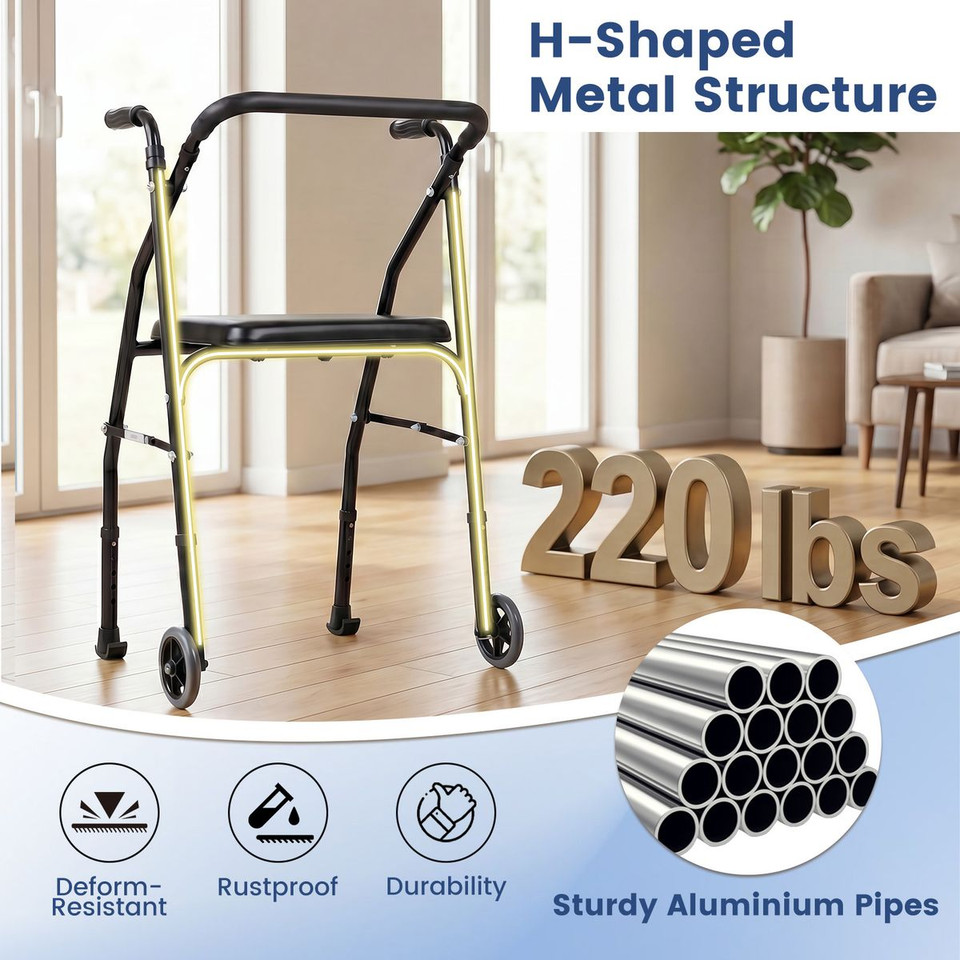  Folding Mobility Walker product image