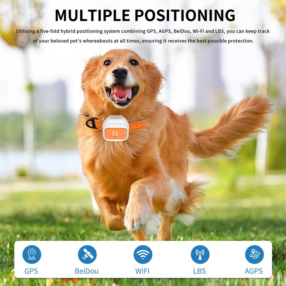 4G Pet Gps Tracker With Real-time Positioning,long Standby Geofence Alerts Multi-band Waterproof Locator For Dogs Outdoor Pets Size L product image