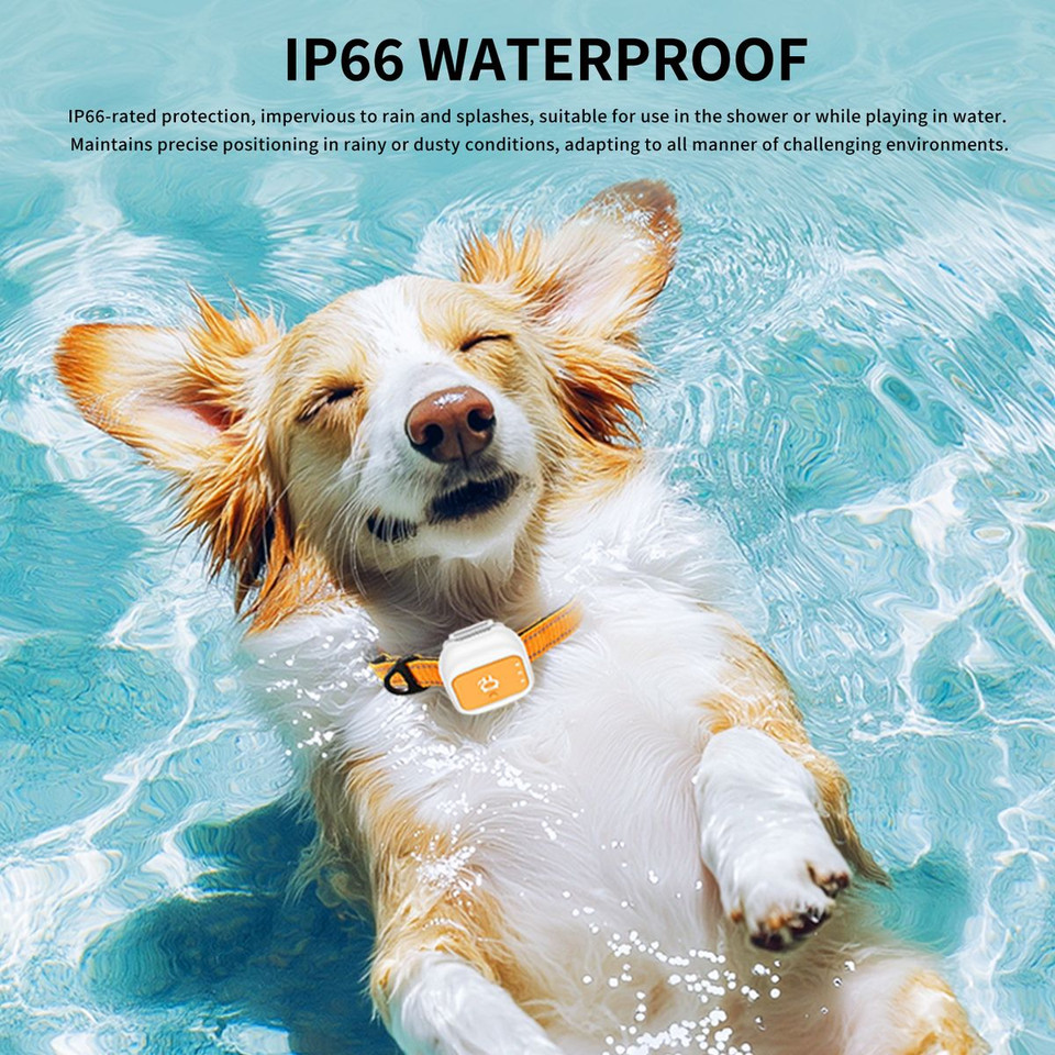 4G Pet Gps Tracker With Real-time Positioning,long Standby Geofence Alerts Multi-band Waterproof Locator For Dogs Outdoor Pets Size L product image