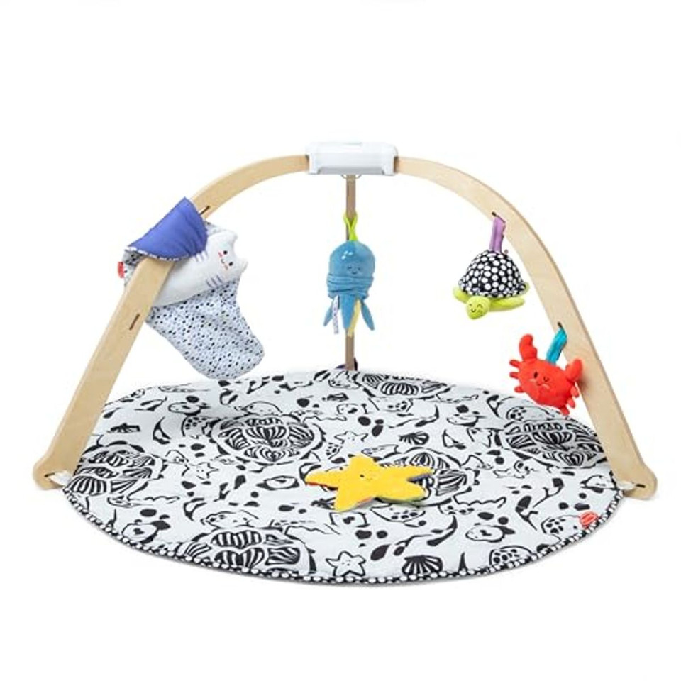 Melissa & Doug Baby's Wooden Ocean Play Mat product image