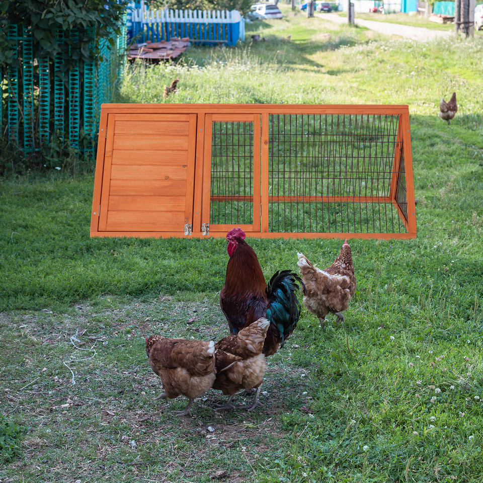 Wooden Small Animal & Chicken House product image