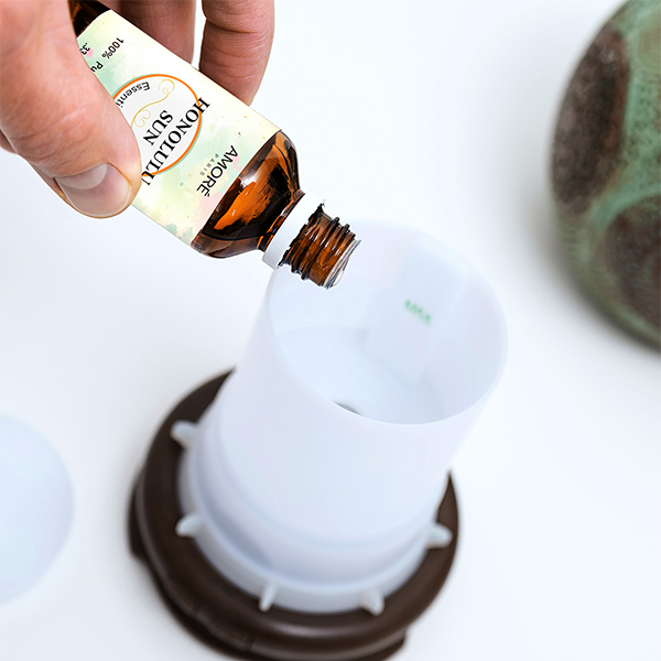 Premium Fragrance Aromatherapy Essential Oils (Set of 6) product image