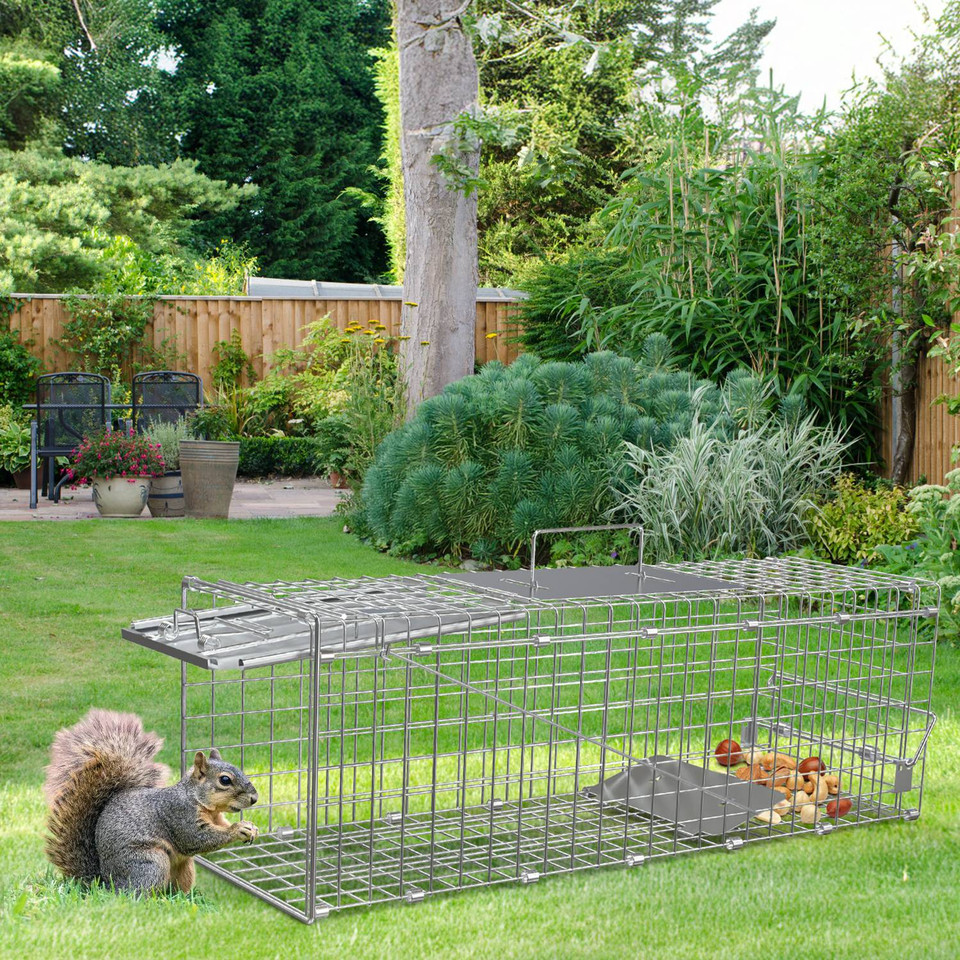 Humane Animal Trap Cage (2-Pack) product image