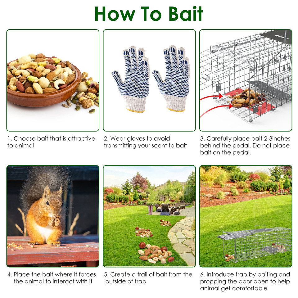 Humane Animal Trap Cage (2-Pack) product image