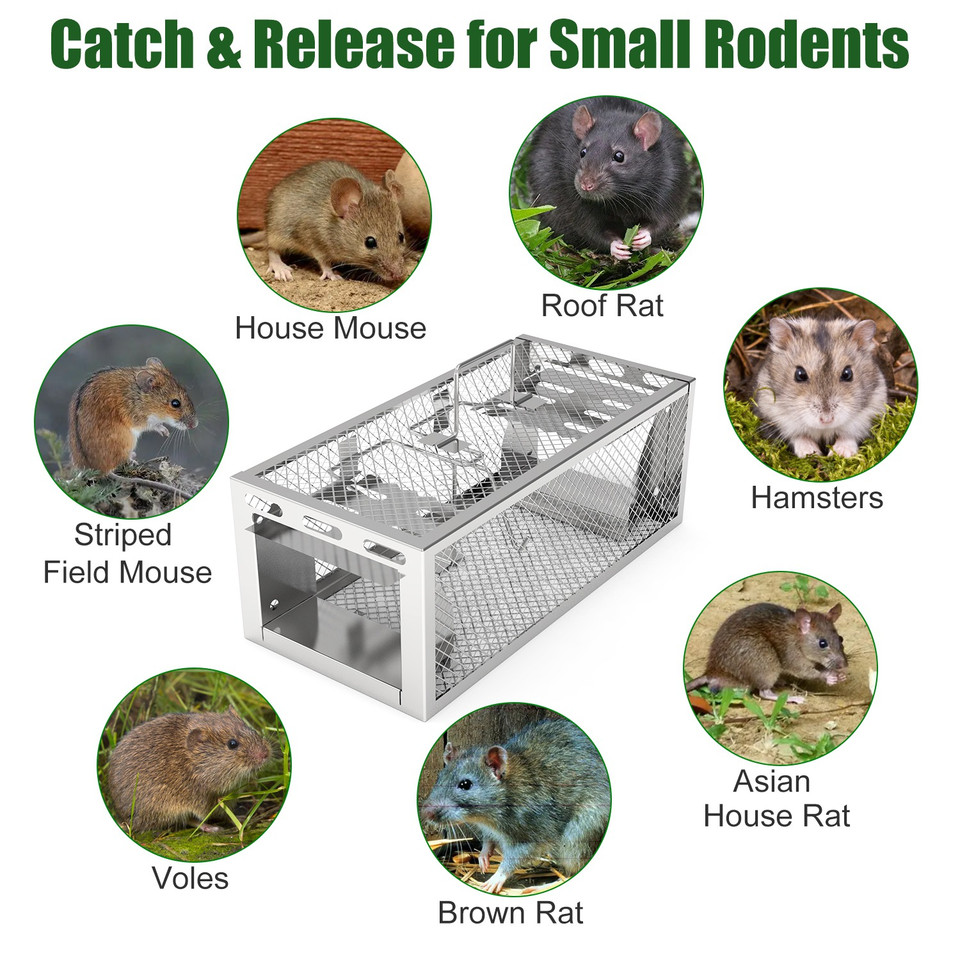 2-Door Humane Rat & Mouse Trap (2-Pack) product image