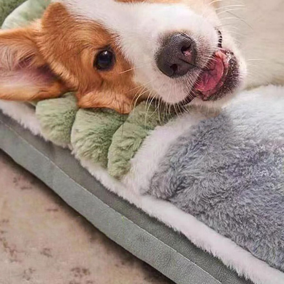 Soft Plush Pet Bed Mat with Sponge Filling  product image