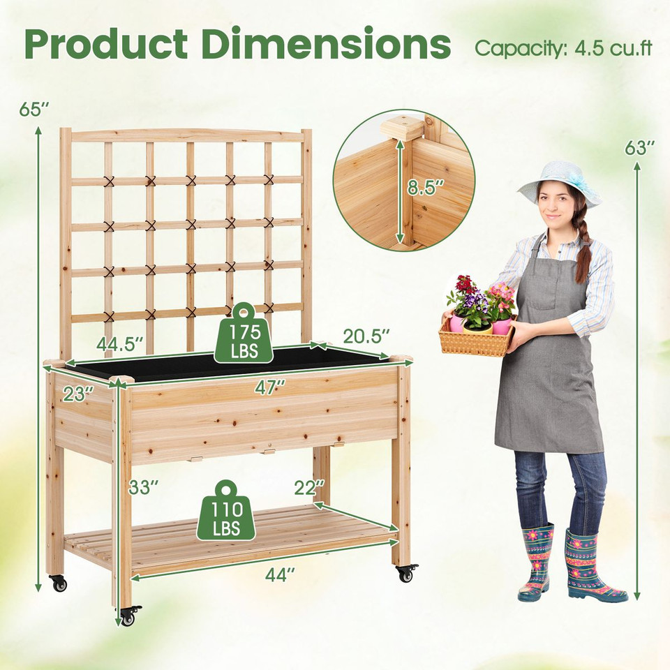 Wooden Raised Garden Bed with Trellis  (Pack of 1 or 2) product image