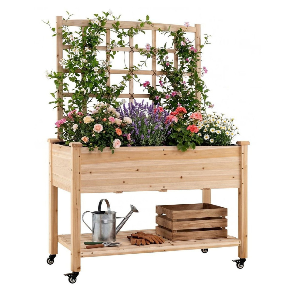 Wooden Raised Garden Bed with Trellis  (Pack of 1 or 2) product image