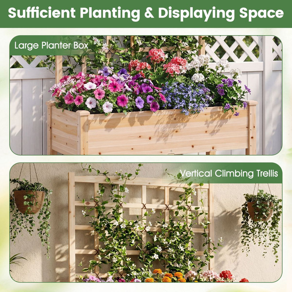 Wooden Raised Garden Bed with Trellis  (Pack of 1 or 2) product image