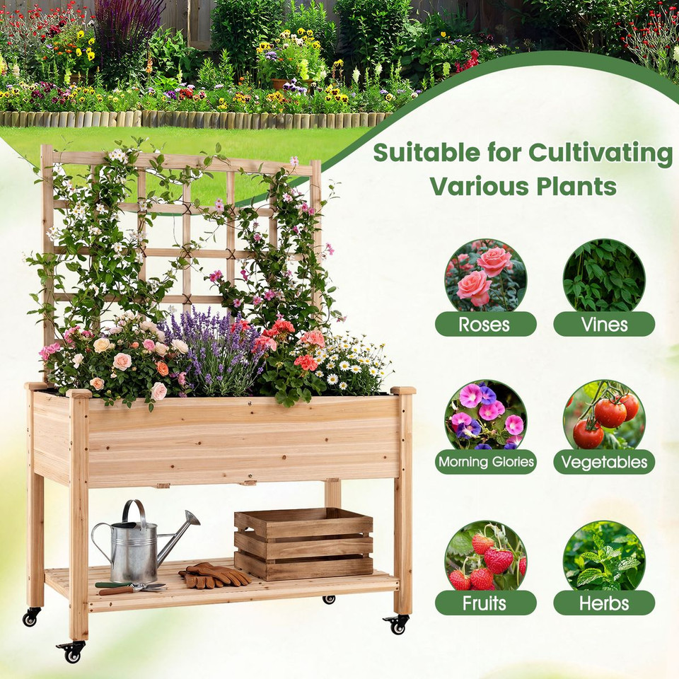 Wooden Raised Garden Bed with Trellis  (Pack of 1 or 2) product image