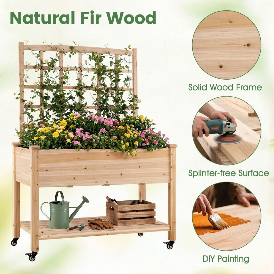 Wooden Raised Garden Bed with Trellis  (Pack of 1 or 2) product image