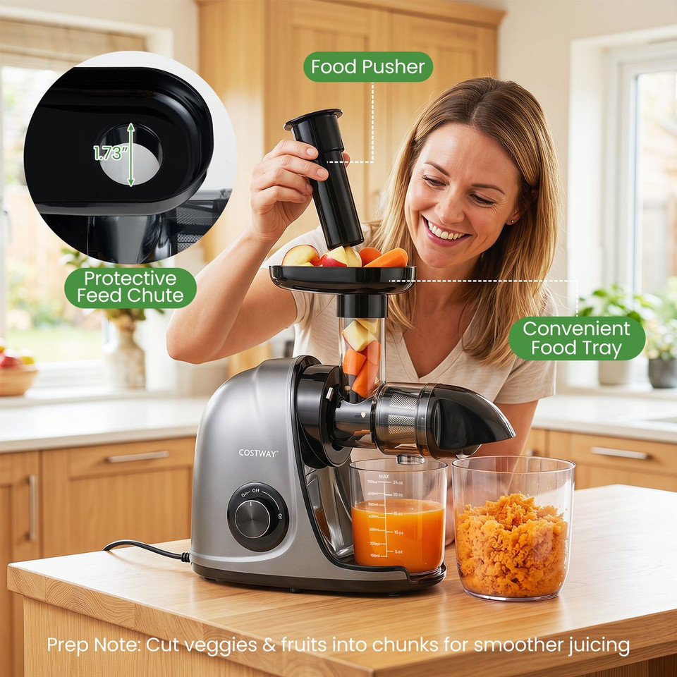 Cold Press Juice Machine product image