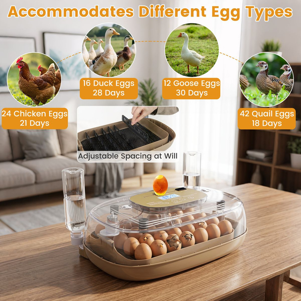Precision Hatch Pro Egg Incubator  product image