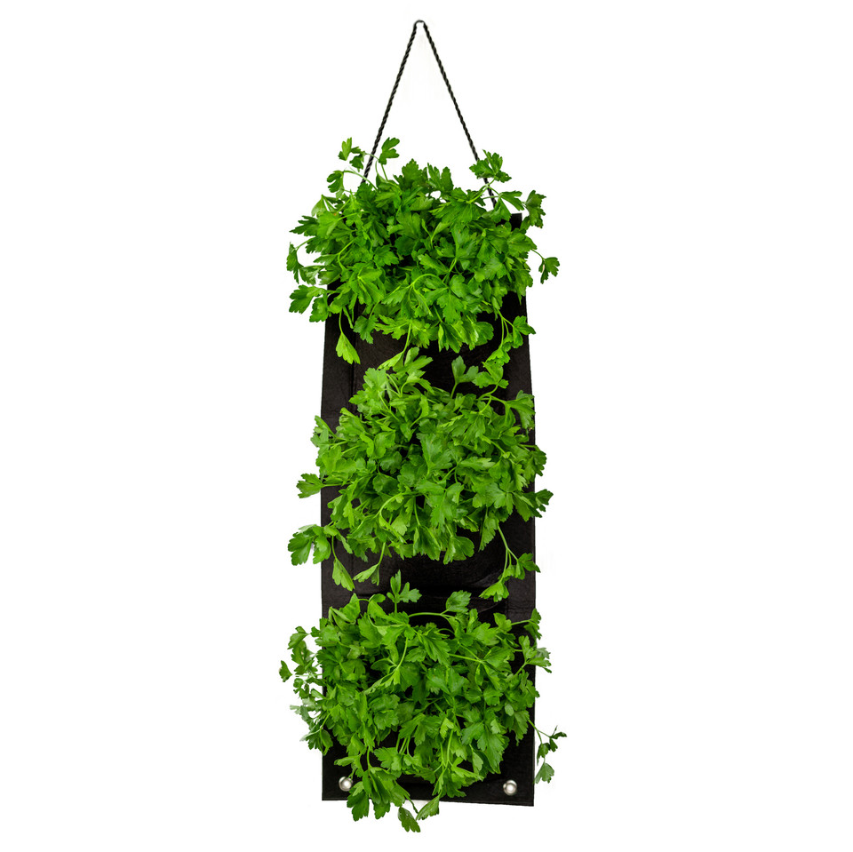 Indoor/Outdoor Organic Hanging Herb Garden Kit product image