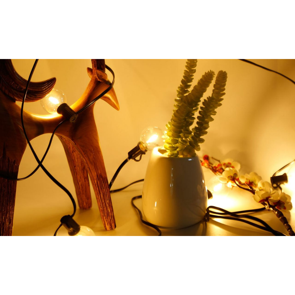 50-Foot Outdoor Globe String Lights product image