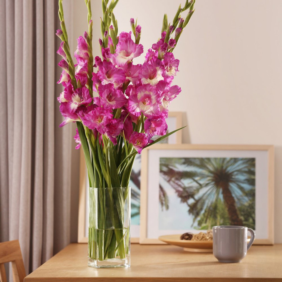 Easy Growing Garden Flowers product image