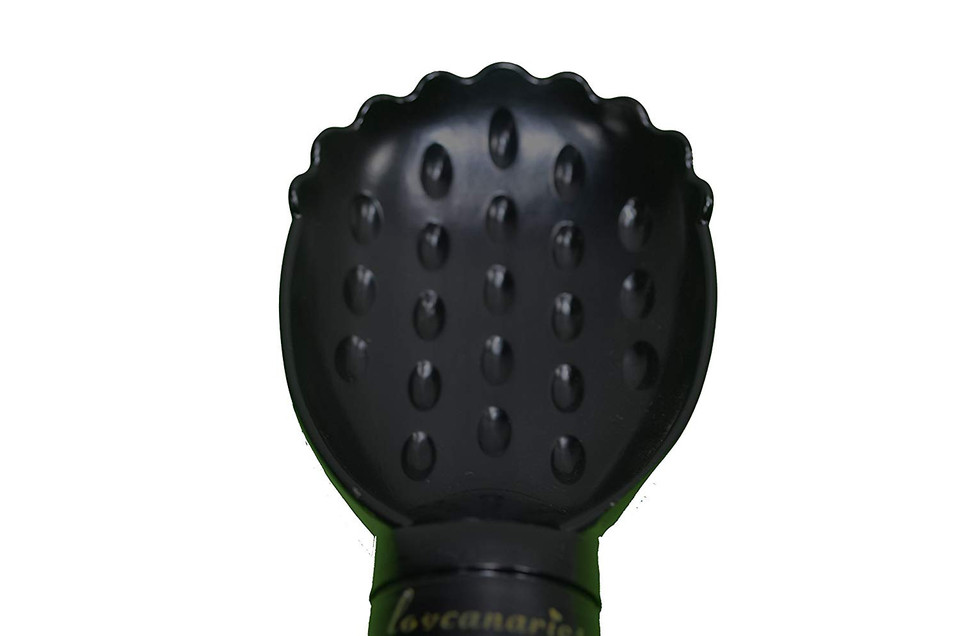Non-Stick Ice Cream Scoop by LovCanaries product image
