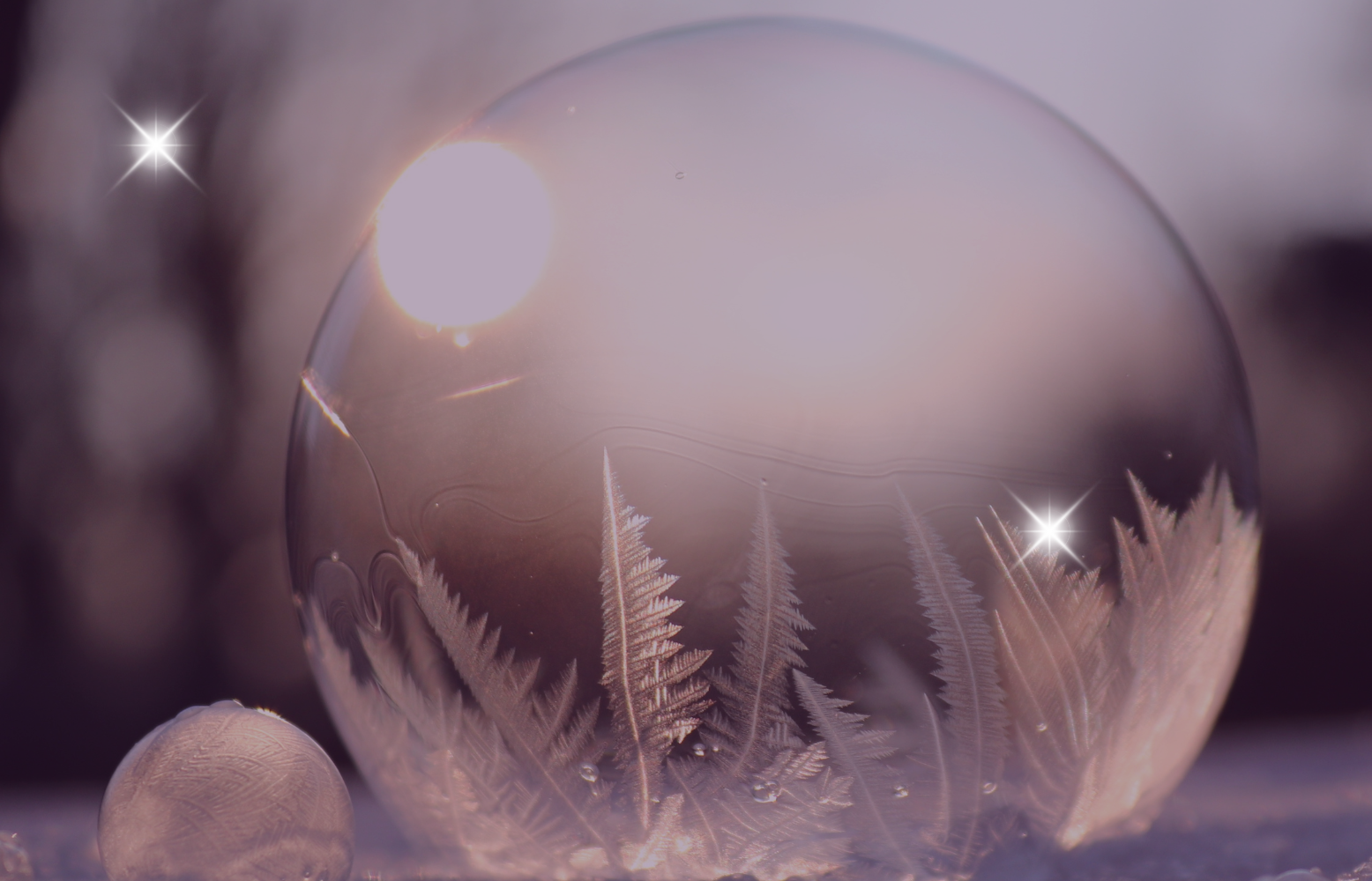 Winter Prep collection image