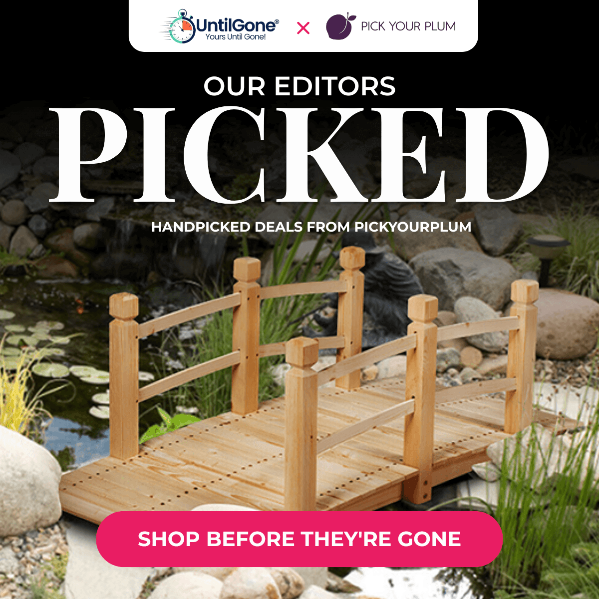 Editor's Choice