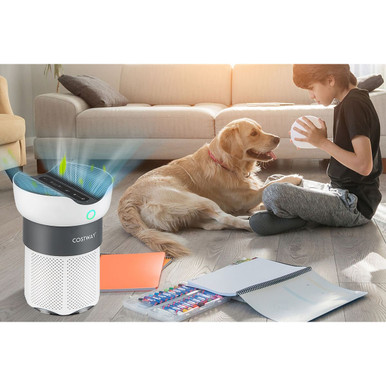 Photos - Air Purifier Goplus  with Sleep Mode for Home Office up to 1,300 sq. ft. ES