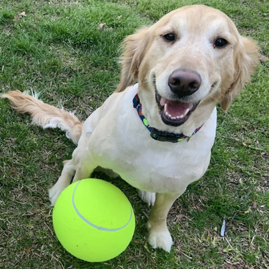 Jumbo 9.5-Inch Tennis Ball For Pets with Pump