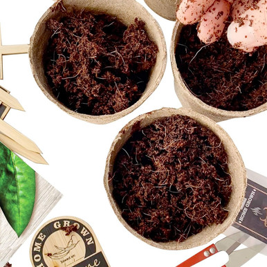 Hapinest Indoor Hot and Spicy Pepper Garden Seed Starter Kit 