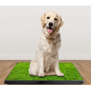 iMounTEK® Pet Potty Training Artificial Grass Pad